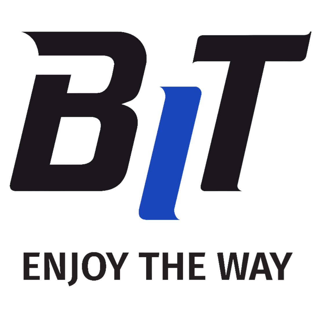 logo_bit (3).png